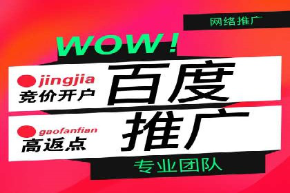 百度网络推广实战技巧：案例解析，让你轻松实现精准营销